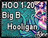 Big B: Hooligan