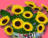 Sunflower Plant Graffiti