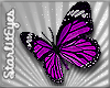 *Purple Butterflies*