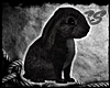 [SS] Black Bunny Pet