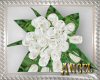 [AIB] My Wedding Bouquet