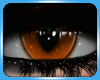 Demon eyes - Orange
