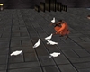 Shaolin Pigeons Animated