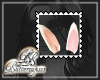 Bunny Ears Stamp Transpa