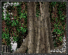 Large Tree + Poses