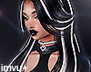 🖤 Petra Highlights