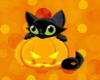 ~Nx~ Halloween Cat 1