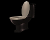 *Surya Toilet