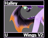 Halley Wings V2
