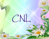 [CNL]DOC flower 25