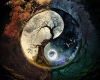 6v3| Tree of Moon&Stars