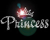 Princess Club