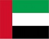 UAE hand flag
