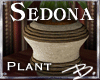 *B* Sedona Plant 2