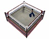 Thai Boxing Ring