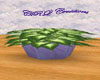 CRQ Purple Potted Plant