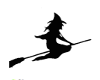 Witch Riding On Broom TP