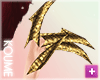 ▼ Gold Claw