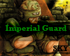 *SKY* WH Imperial Guard