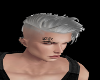 Grey Hair