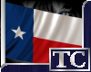 ~TC~ TexasFlagWithPole