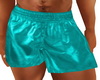 Req Teal Muscled Boxers