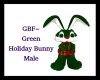 GBF~Green Bunny Avi (M)