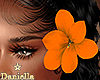 D| Beach Orange Flowers