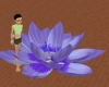 (W) Purple Lotus seat