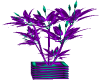 BL Purple & Teal Plant