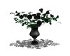 black roses in vase