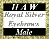 Royal Silver Eyebrows M