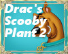 Dracs Scooby Plant2
