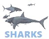-S- Animated Sharks