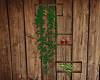Garden Plants