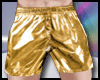 Leather Boxer | Golden 2