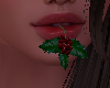 mouth mistletoe hd