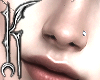 &acirc;��&acirc;�� NOSE #L