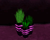 R* Alley vase plant deco