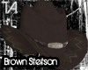 Brown Stetson