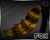 [FOX] Orange Black Tail