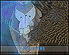 AM* Belltrix Cape