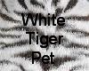 White Tiger Pet