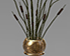 Potted Cattail Plant