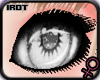 [iRot] Spirit Sight