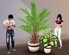 Two Potted Plants