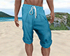 DRV Shorts / Swimsuit (M)