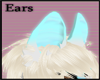 .:|A|:. Blueshine ears.