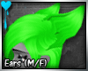 D~Complex Cat: Green