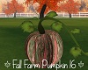 Fall Farm Pumpkin 16